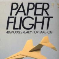 Paper Flight