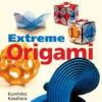 Extreme Origami