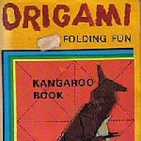 Origami Folding Fun