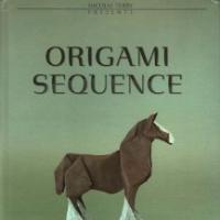 ORIGAMI SEQUENCE