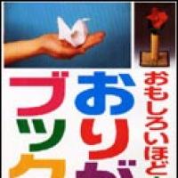 Origami Book