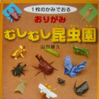 Beetles and Stag Beetles