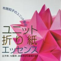 Unit Origami Essence