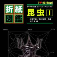 Origami Insects I / 折紙図鑑　昆虫・1