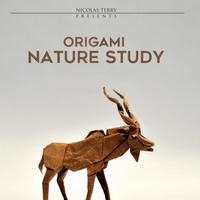 Origami Nature Study