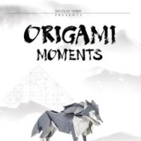 ORIGAMI MOMENTS