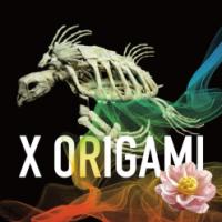 X ORIGAMI