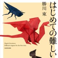 Difficult origami for the first time