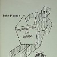 Origami Models Folded from Rectangles