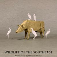 Wildlife of the Southeast: A Collection of Eight Origami Projects