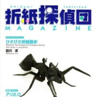 Origami Tanteidan Magazine 163