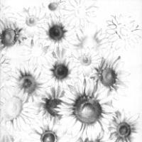 QQM 35, UN FIORE PER NILVA