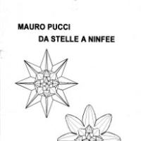 QQM 41, DA STELLE A NINFEE
