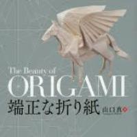 The Beauty of Origami