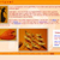 http://papirfoldning.dk