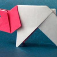 
<span>Pig</span>
