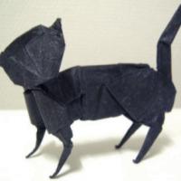 
<span>Cat</span>
