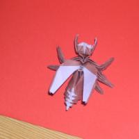 
<span>Avispa (Wasp)</span>
