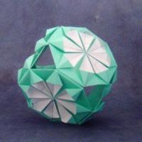 
<span>Chrysanthemum kusudama</span>
