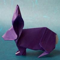 
<span>Rabbit</span>
