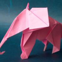 
<span>Elephant</span>
