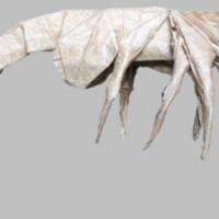 
<span>Alien 1 -Facehugger-</span>
