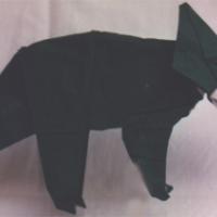 
<span>Triceratops - baby</span>
