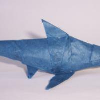
<span>Ichthyosaurus</span>
