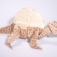 
<span>Dimetrodon</span>
