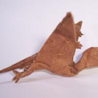 
<span>Dimorphodon</span>
