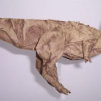 
<span>Tyrannosaurus</span>
