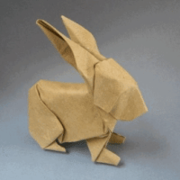 
<span>Rabbit</span>
