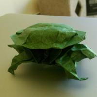 
<span>Tortoise</span>
