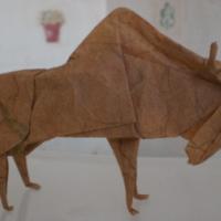 
<span>Buffalo</span>
