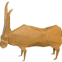 
<span>Oryx</span>
