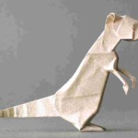 
<span>Suricat</span>
