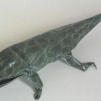
<span>Crocodile</span>
