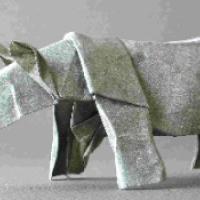 
<span>Rhinoceros</span>
