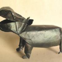 
<span>Hippopotamus</span>
