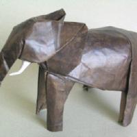 
<span>Elephant</span>
