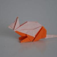 
<span>Cat</span>

