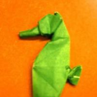 
<span>Sea Horse</span>
