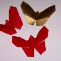 
<span>Butterfly</span>
