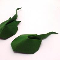 
<span>Tadpole</span>
