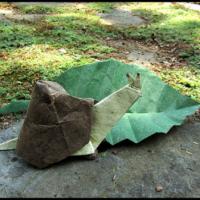 
<span>Snail</span>
