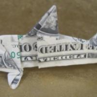 
<span>shark</span>
