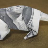 
<span>mouse</span>

