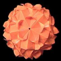 
<span>Cherry blossom ball</span>
