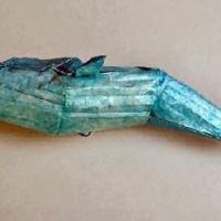 
<span>Blue Whale</span>
