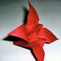 
<span>Lily</span>
